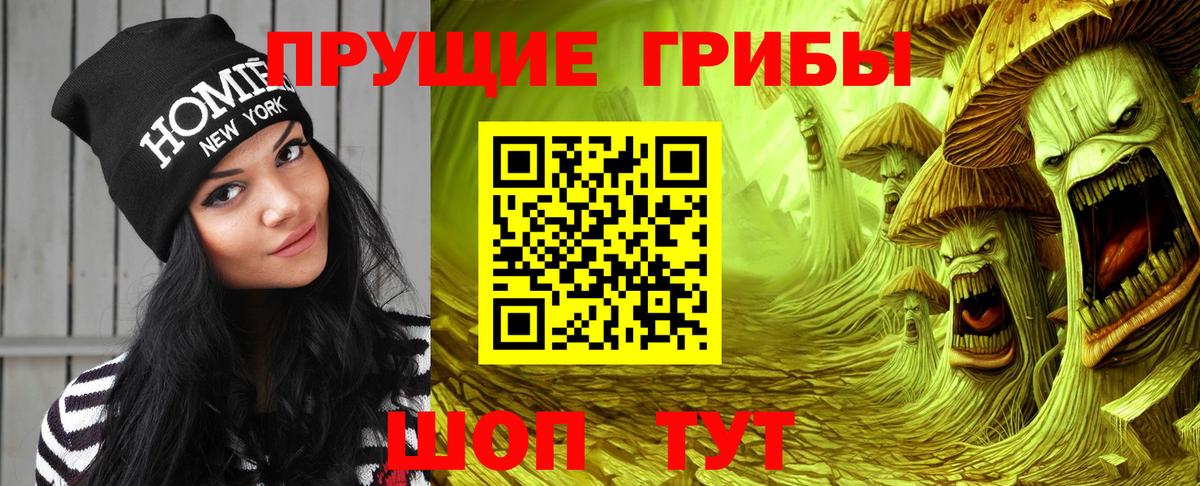 Псилоцибиновые грибы мухоморы Нерюнгри