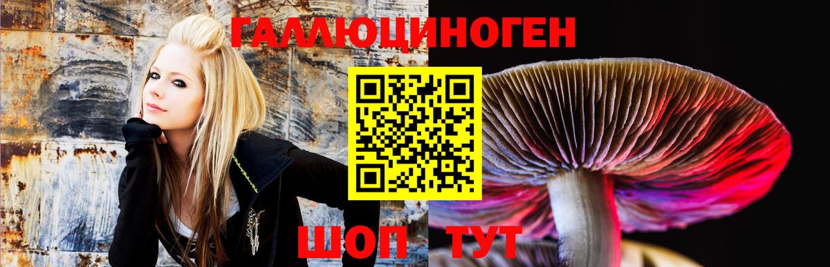 Нерюнгри  Псилоцибиновые грибы Cubensis  Вход с VPN 
